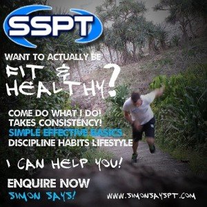 Outdoor Fitness Coolum Fitter SSPT