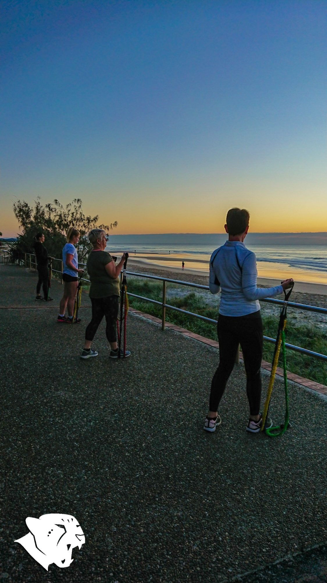 SSPT Fitness Resistance Bands Coolum