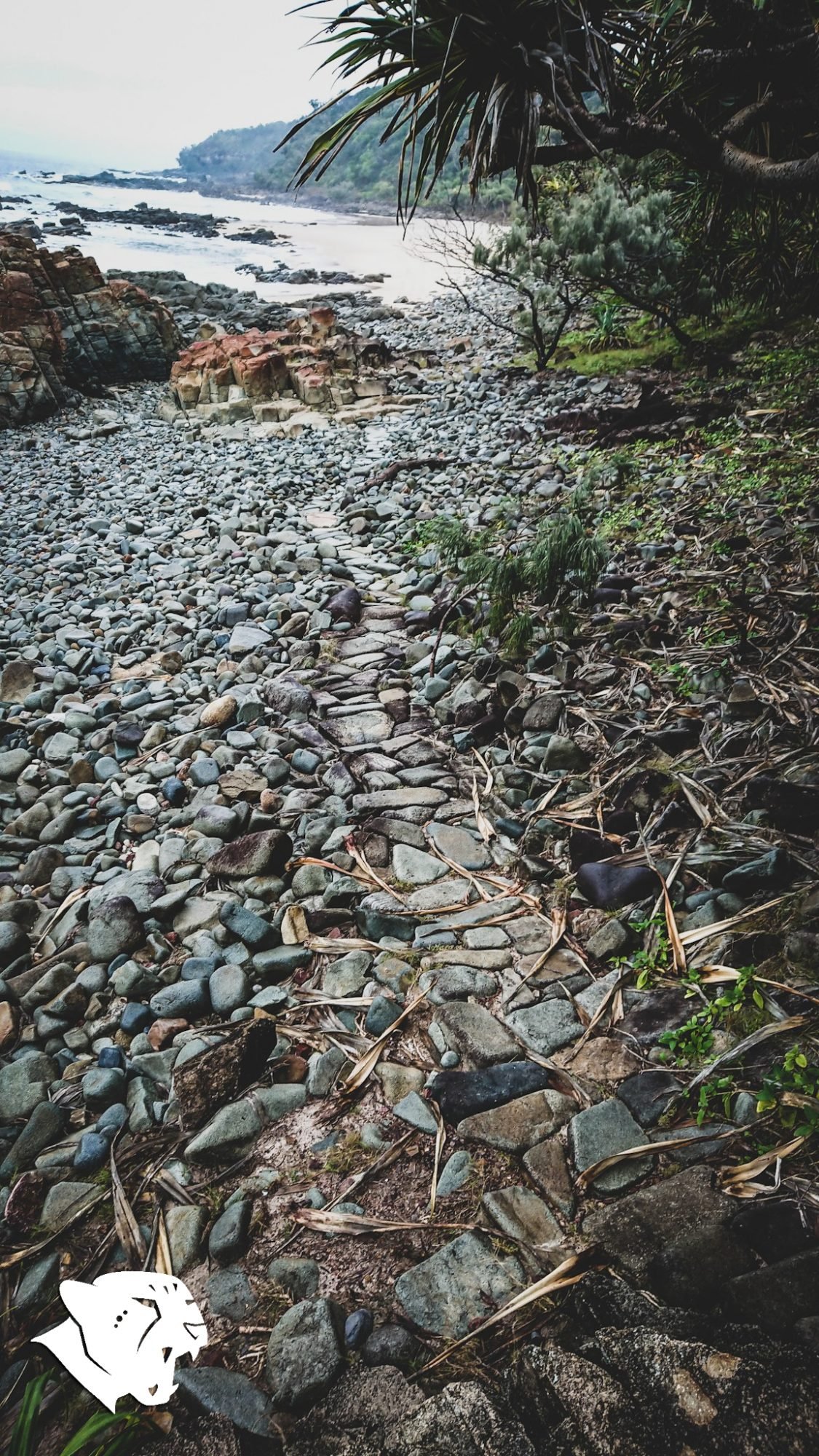 SSPT Fitness 2nd Bay Coolum